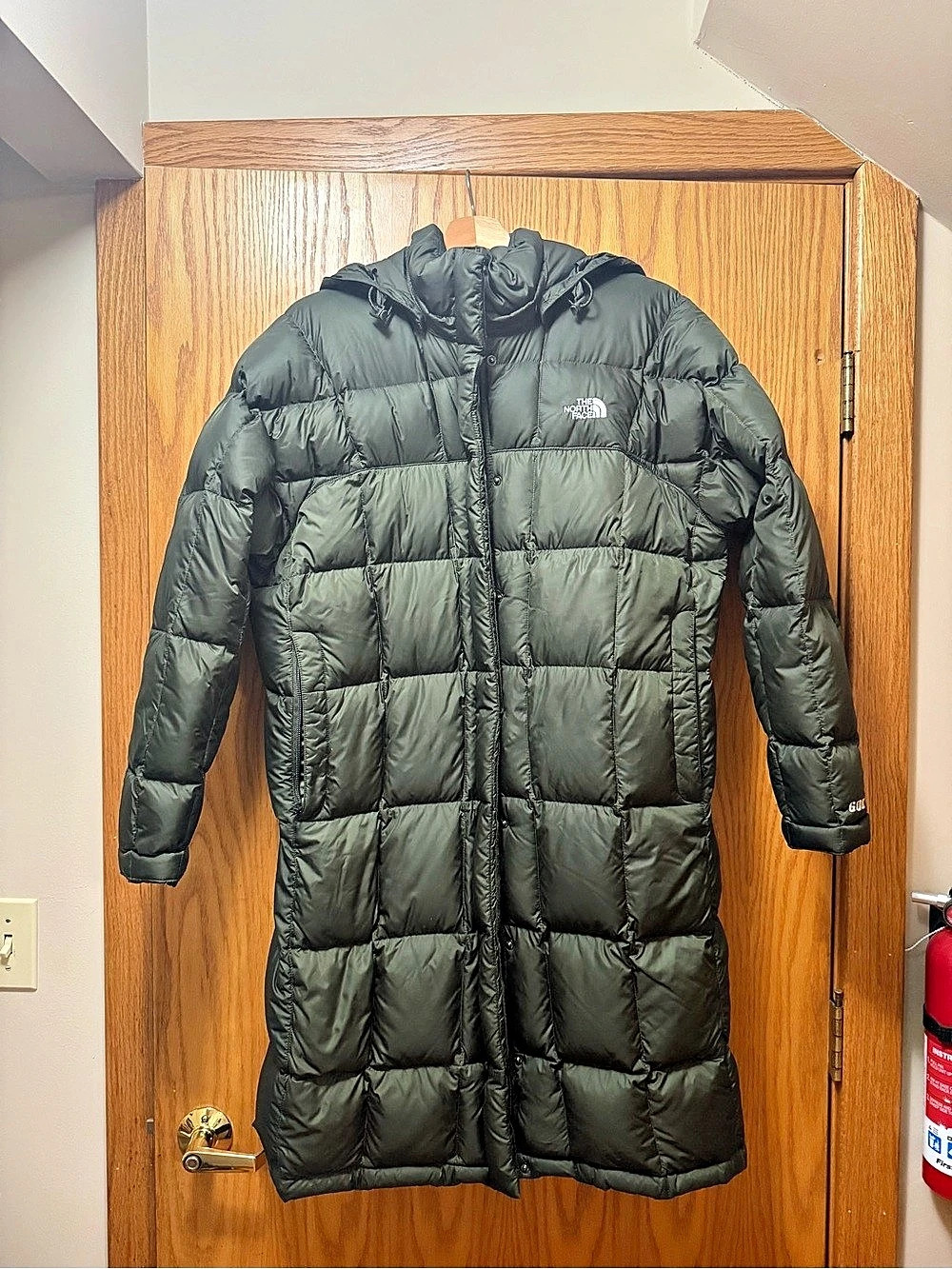 The North Face Metropolis Parka 600-Fill Long Puffer Coat Green